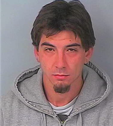 Diviccaro Mark - Hernando County, FL 