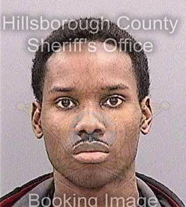 Daniels James - Hillsborough County, FL 