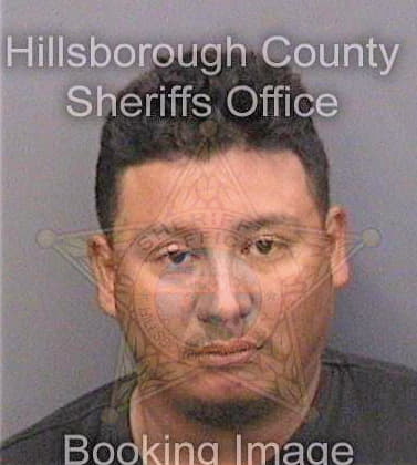 Castrogarcia Jorge - Hillsborough County, FL 