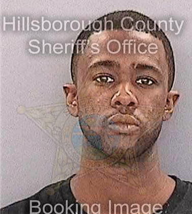 Ringold Ryan - Hillsborough County, FL 