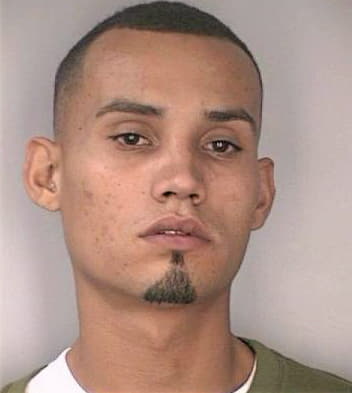 Perez Christopher - Hillsborough County, FL 