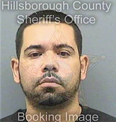 Torres Marcus - Hillsborough County, FL 