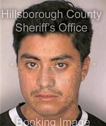 Hernandezgarcia Absalon - Hillsborough County, FL 