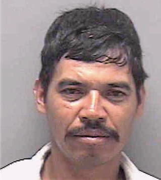 Hernandez Salvino - Lee County, FL 