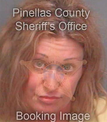 Huber Pamela - Pinellas County, FL 