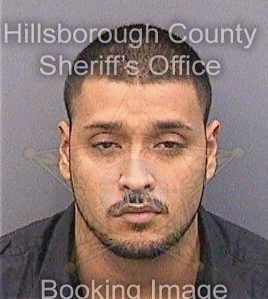 Castaneda Joseph - Hillsborough County, FL 