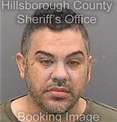 Boschyera Norly - Hillsborough County, FL 