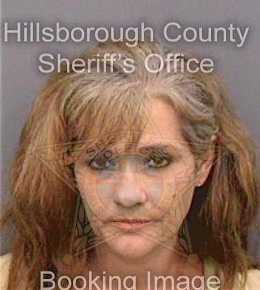 Mcmichael Diana - Hillsborough County, FL 
