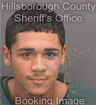 Vicente Justyn - Hillsborough County, FL 