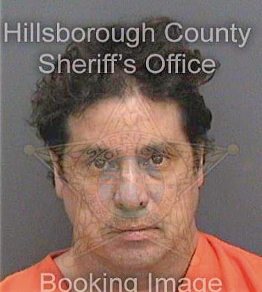 Delgado Paul - Hillsborough County, FL 