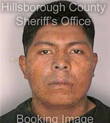 Gomez Fernando - Hillsborough County, FL 