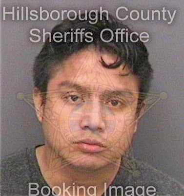 Solisgonzalez Dany - Hillsborough County, FL 