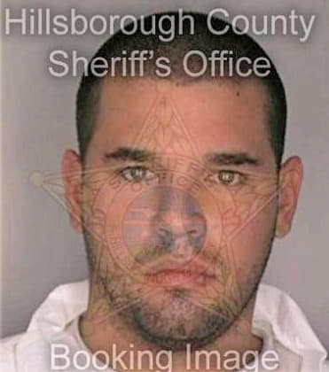 Guglielmino Matias - Hillsborough County, FL 