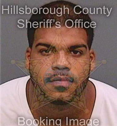 Mercadoamaro Miguel - Hillsborough County, FL 