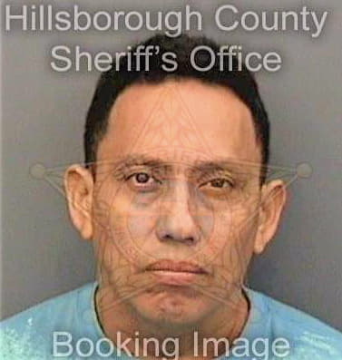 Garcia Carlos - Hillsborough County, FL 