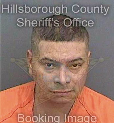 Maradiaga Hugo - Hillsborough County, FL 