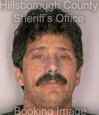 Mcdonald Frank - Hillsborough County, FL 