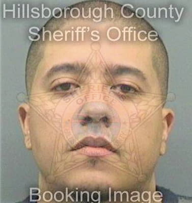 Pena Daniel - Hillsborough County, FL 