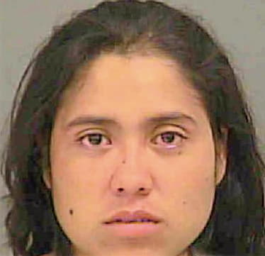 Hernandez Elide - Mecklenburg County, NC 