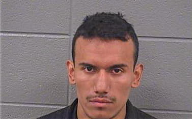 Alvarado Marcelo - Cook County, IL 