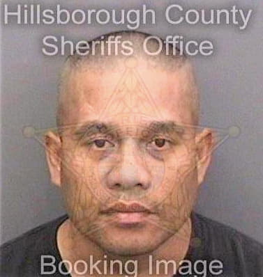 Sohl Martin - Hillsborough County, FL 