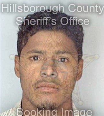 Garcia Luis - Hillsborough County, FL 