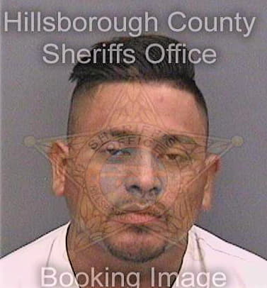 Trevinochautla Javier - Hillsborough County, FL 