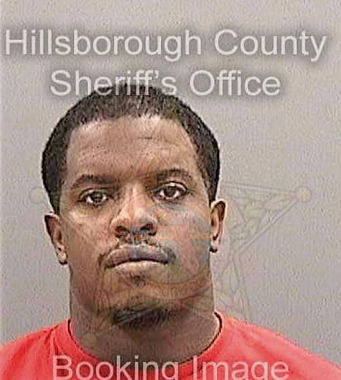 Mullins Michael - Hillsborough County, FL 