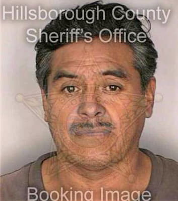 Puente Geraldo - Hillsborough County, FL 