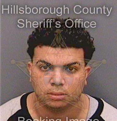 Santiagosalgado Jimmy - Hillsborough County, FL 