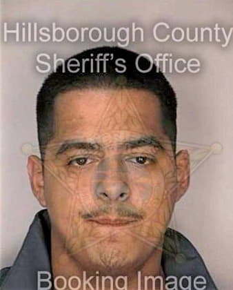 Gonzalez Roy - Hillsborough County, FL 