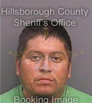 Espinoza Joel - Hillsborough County, FL 