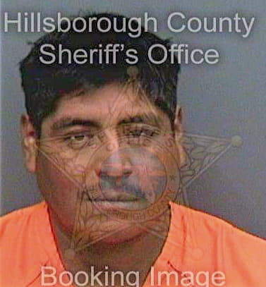 Salinasgutierrez Urbino - Hillsborough County, FL 