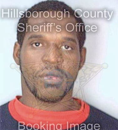 Mcfadden Archie - Hillsborough County, FL 