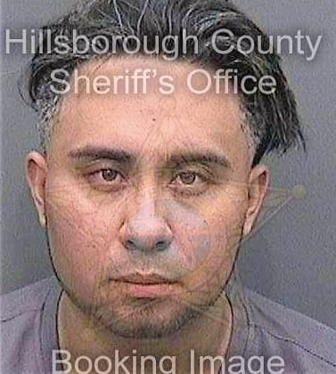 Martinez Eusebio - Hillsborough County, FL 