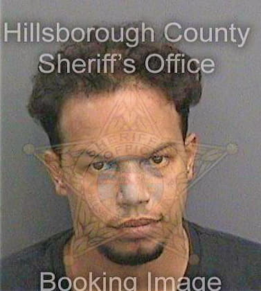 Dennison Michael - Hillsborough County, FL 