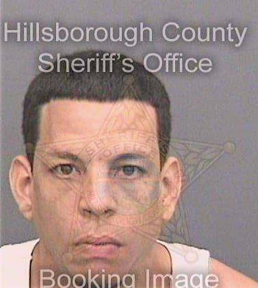 Garcia Luis - Hillsborough County, FL 