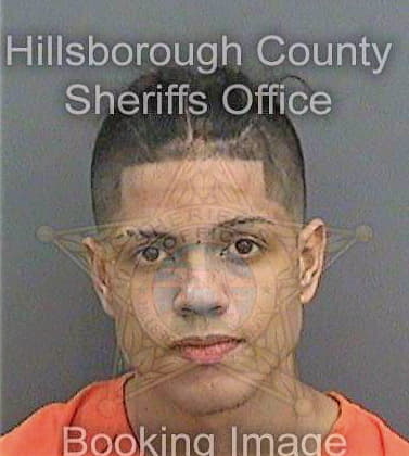 Martinezlaboy Miguel - Hillsborough County, FL 