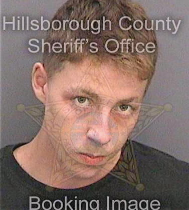 Walizer Cody - Hillsborough County, FL 