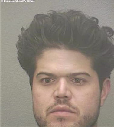 Hernandez David - Broward County, FL 