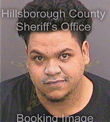 Leon Derick - Hillsborough County, FL 