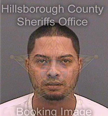 Lugo Brandon - Hillsborough County, FL 