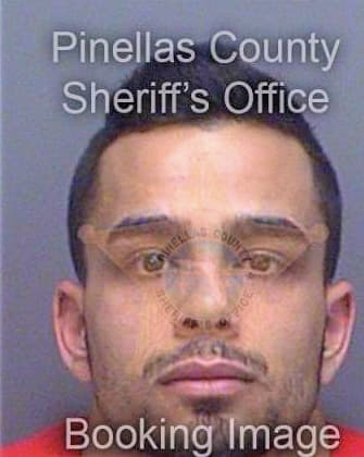 Mourra Derek - Pinellas County, FL 