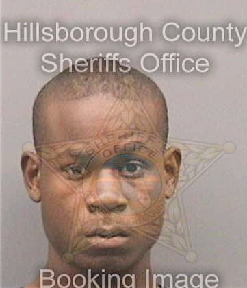 Tolbert Steven - Hillsborough County, FL 