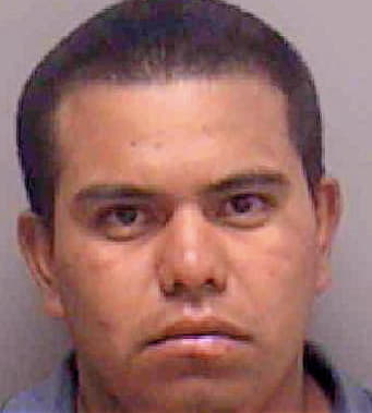 Solis Tony - Lee County, FL 