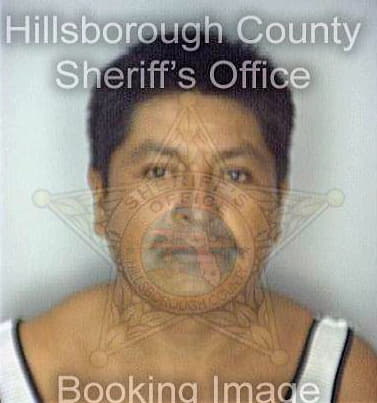 Ramirez Juan - Hillsborough County, FL 