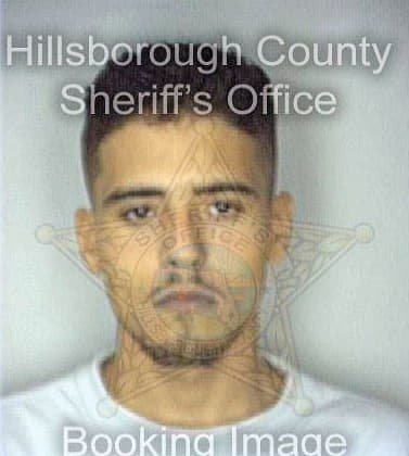 Millan Jesus - Hillsborough County, FL 