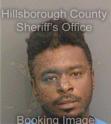 Johnson Timothy - Hillsborough County, FL 