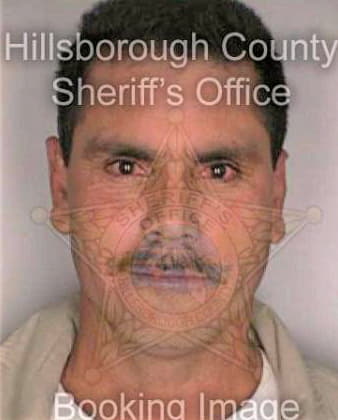 Gallardo Heriberto - Hillsborough County, FL 