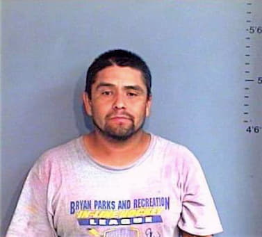 Hernandez Eliseo - Brazos County, TX 